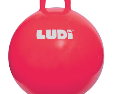This big colored balloon is ideal to make the race or have fun with the friends! Resistance fighter, it is used indoor and outdoor.
