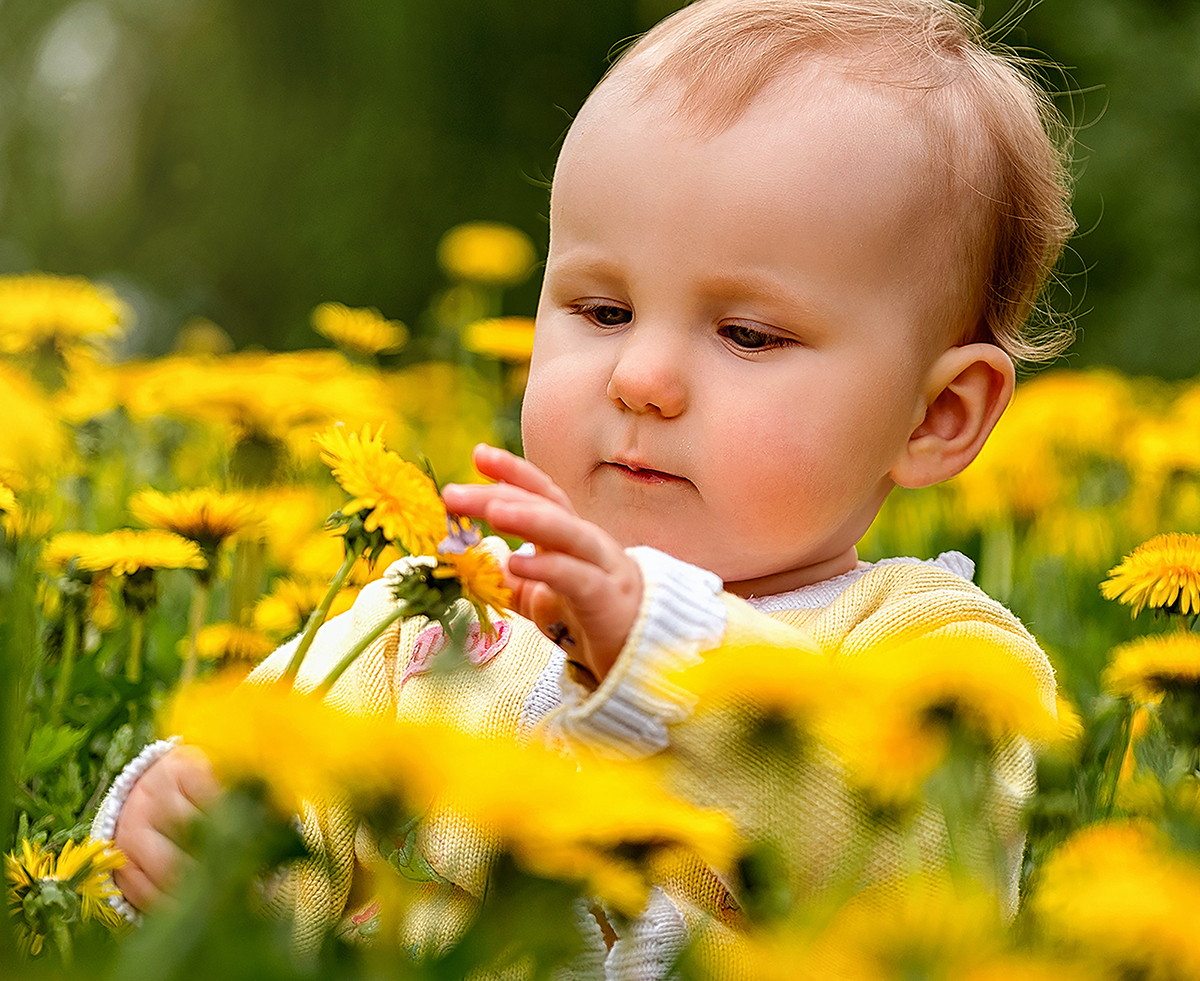 BLOG LUDI : Jardiner en famille.