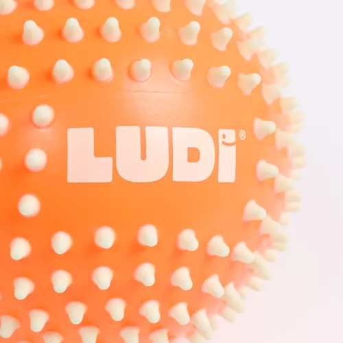 Duo of sensory balls with pimples from LUDI. Develops baby's sense of touch while having fun. Ideal for learning and movement coordination. Soft, lightweight and hygienic plastic. For children from 6 months. Product reference 30089.