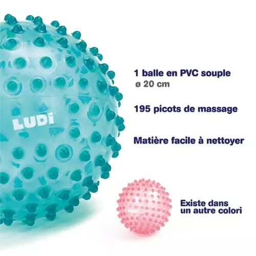 A ball with soft pimples that develops baby's sense of touch while having fun. Ideal for learning to coordinate movements. Soft, lightweight, hygienic plastic. From 6 months.