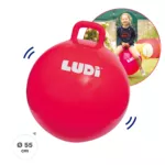 https://ludi-france.com/wp-content/uploads/2024/10/90101-ballon-sauteur-web-01.webp