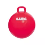 https://ludi-france.com/wp-content/uploads/2024/10/90101-ballon-sauteur-web-02.webp