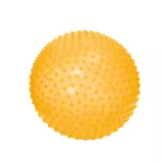 https://ludi-france.com/wp-content/uploads/2024/10/90105-ballon-motricite-web-02.webp