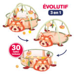 https://ludi-france.com/wp-content/uploads/2025/06/20024-AIRE-PANDA-WEB-04.jpg