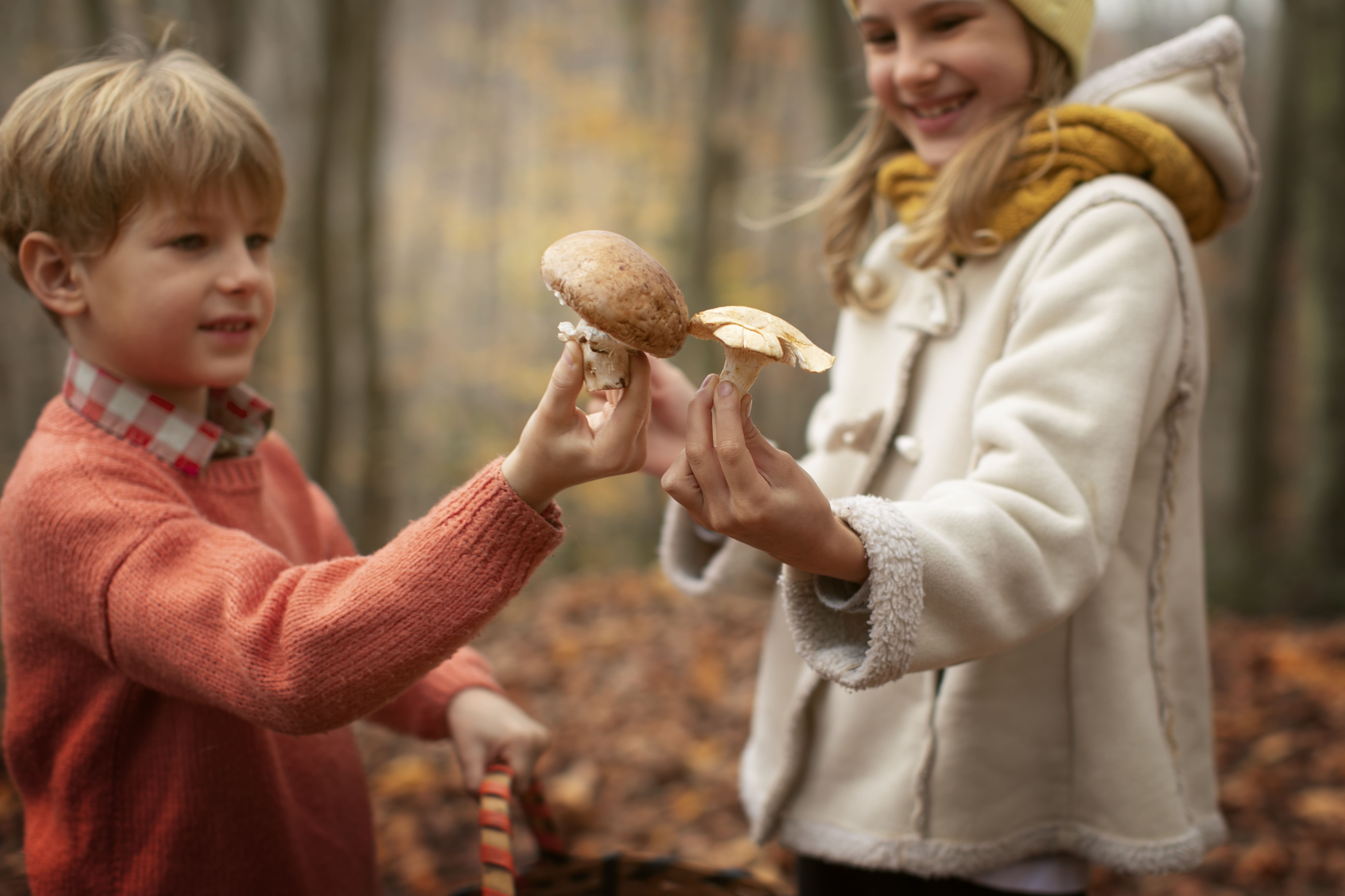 5 Fall Outdoor Activity Ideas for Family Fun